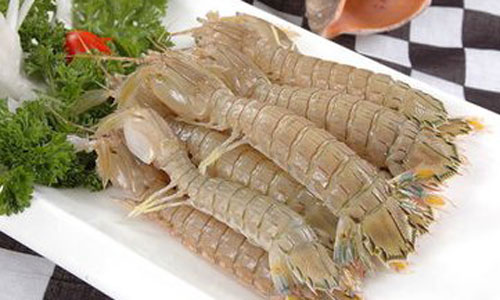 夏季养生吃什么海鲜好.jpg