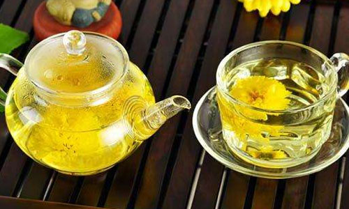 春季喝菊花茶的好处以及禁忌