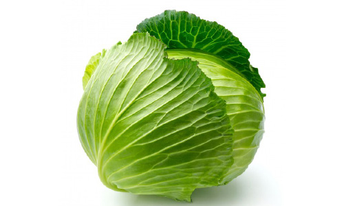 卷心菜.jpg