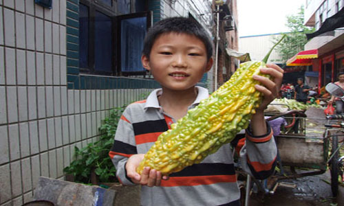 苦瓜.jpg