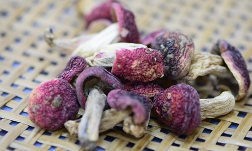 入秋时节 盘点餐桌上的营养之王