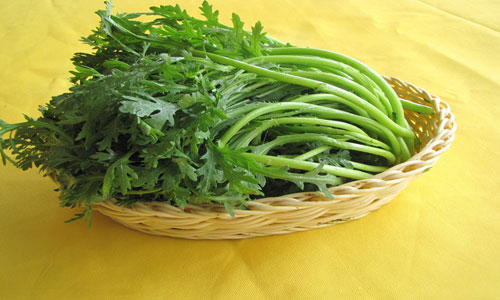 茼蒿的营养和价值.jpg