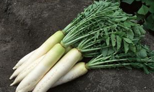 小孩发烧别输液 三样蔬菜可退烧