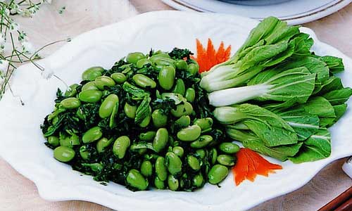 解疑人类为什么更适合素食呢