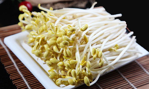 多吃绿豆芽有助防癌.jpg