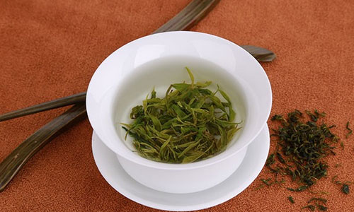 苦丁茶的作用 散热除渴最有效.jpg