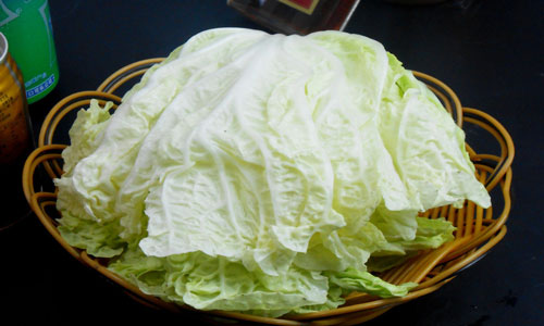 白菜的营养和价值.jpg