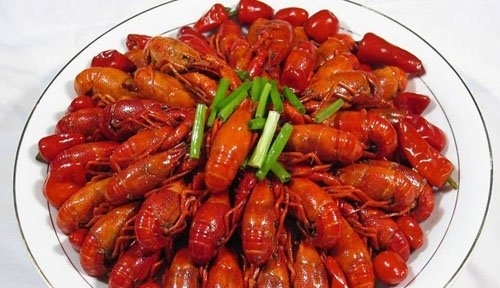 注意生活中的饮食谬论