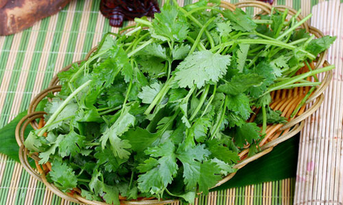 七种香菜香果缓解疲劳