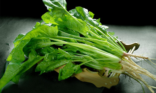 菠菜