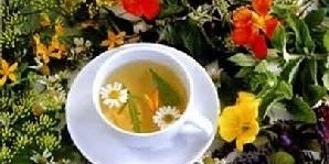 丹麦花果茶可调节脾胃