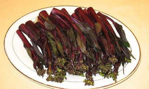 红油菜苔的功效和营养价值介绍