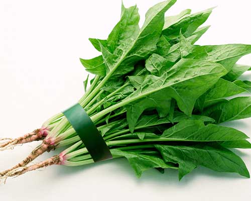 多吃菠菜营养好变身大力水手