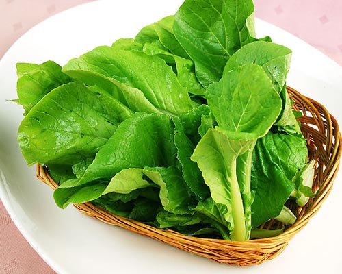 清淡豆腐菜可有效的解酒