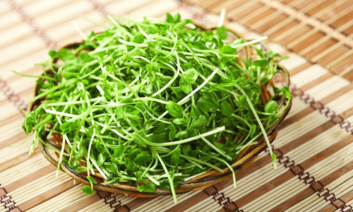有些食物发芽后营养翻倍