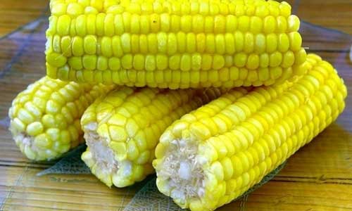 预防血管过早老化的食物有哪些