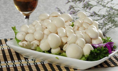 冬季4种食用菌助你养生