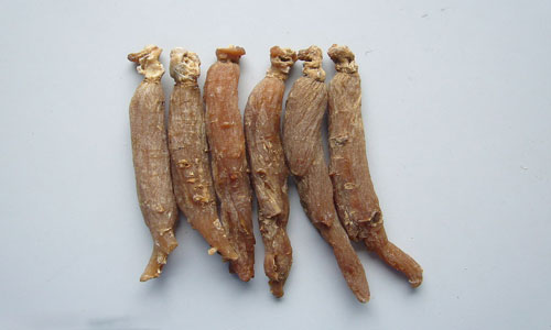 红参的功效和作用1.jpg