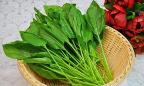 冬季吃蔬菜要小心农药中毒
