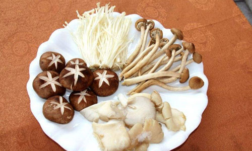 生活中熬夜族应常吃菌类食物