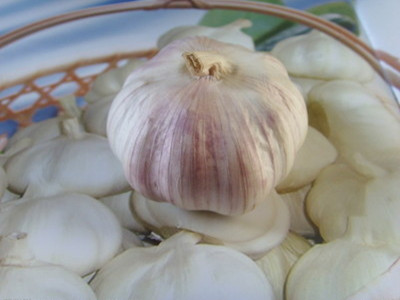 揭秘重口味的神奇养生食物