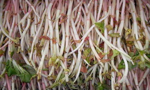 经常吃这8类食物可越吃越长寿.jpg