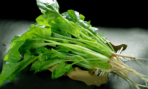 好菠菜挑叶不挑根2.jpg