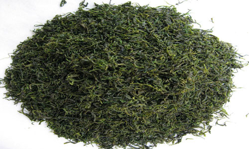 苦丁茶有什么营养和药用价值.jpg