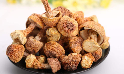 1种蘑菇，喝比吃效果好，会吃营养翻100倍