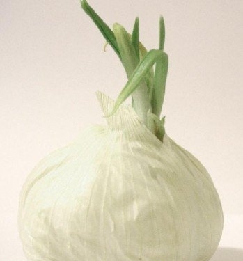 大蒜是营养价值极高的“药材”