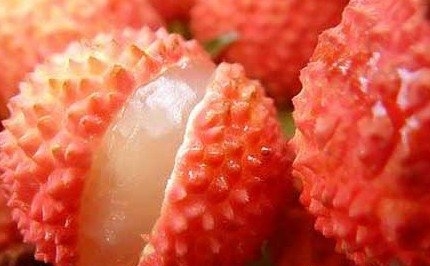 四种食物,助你健康轻松排毒
