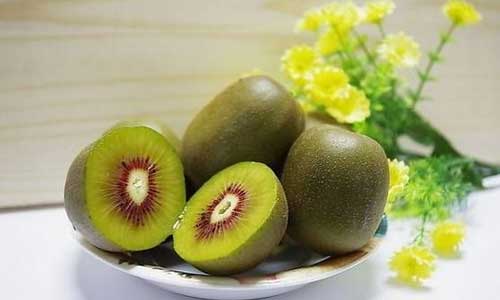 生活中我们离不开哪些食物呢