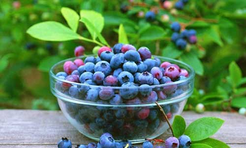  8种食物可显著改善肌肤状况
