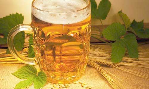 过量喝啤酒会引发严重啤酒病