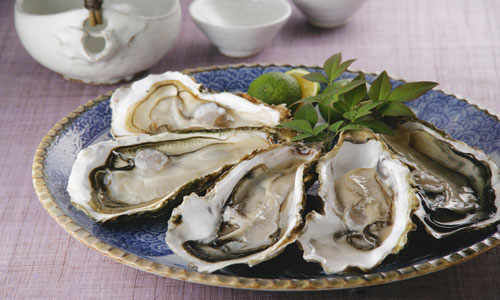 海蛎子的营养和价值.jpg