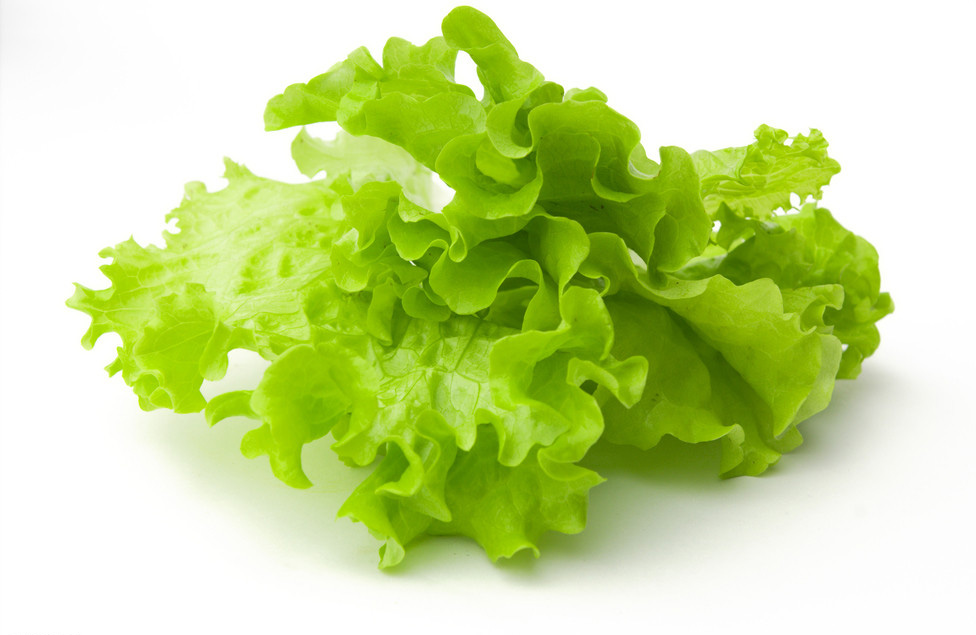 生菜.jpg