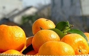 六款养颜营养早餐的做法
