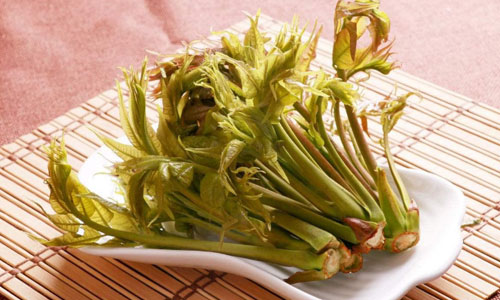 春天到了 这几种野菜助你轻松告别妇科炎症