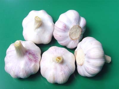 防癌抗癌食材——大蒜