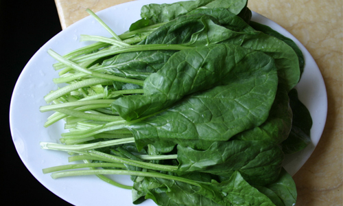 易学易做菠菜煎鸡蛋.jpg