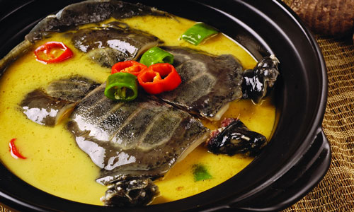 中药祛斑膳食法.jpg