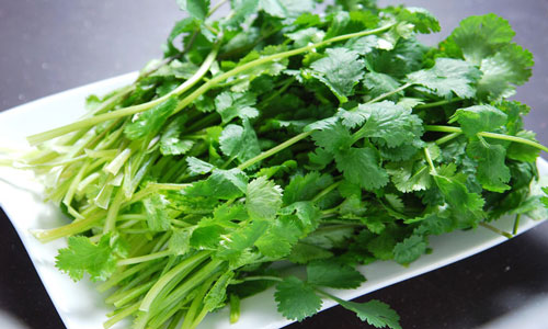 香菜的营养和价值2.jpg