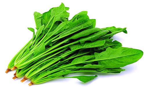 菠菜的营养和价值.jpg