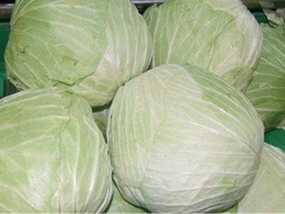 多吃圆白菜的7大好处