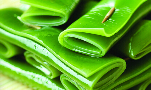 盘点七种可以治病的食物