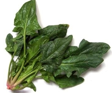 养生警惕：盘点8种致命隔夜食物