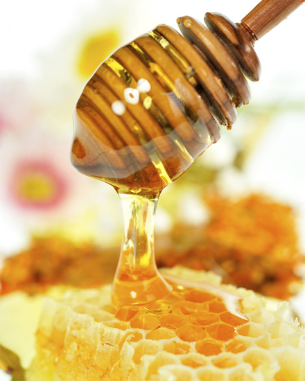 春天来了 要多吃蜂蜜少吃肉类.jpg