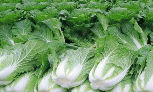 什么食物能拯救胃寒.gif