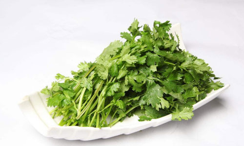 香菜虽香，有些人对香菜过敏却太恐怖