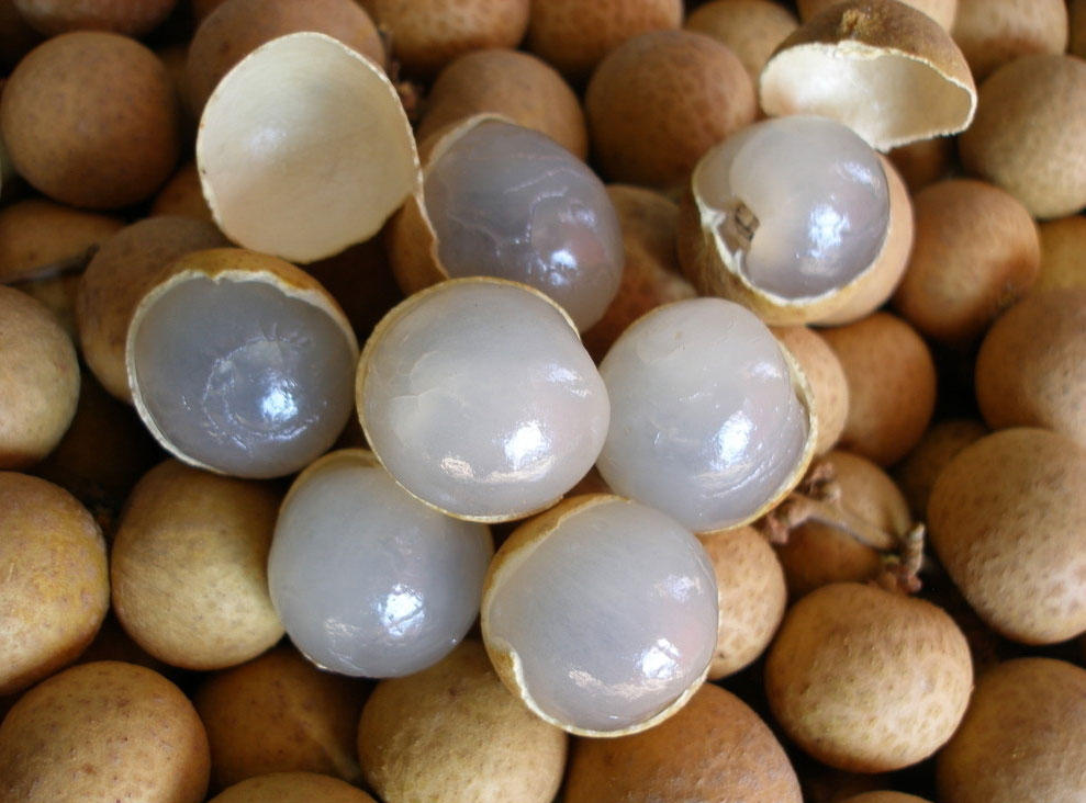 冬季补血多吃9食物